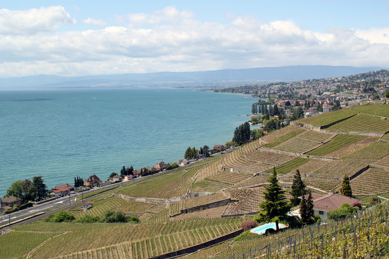 lavaux