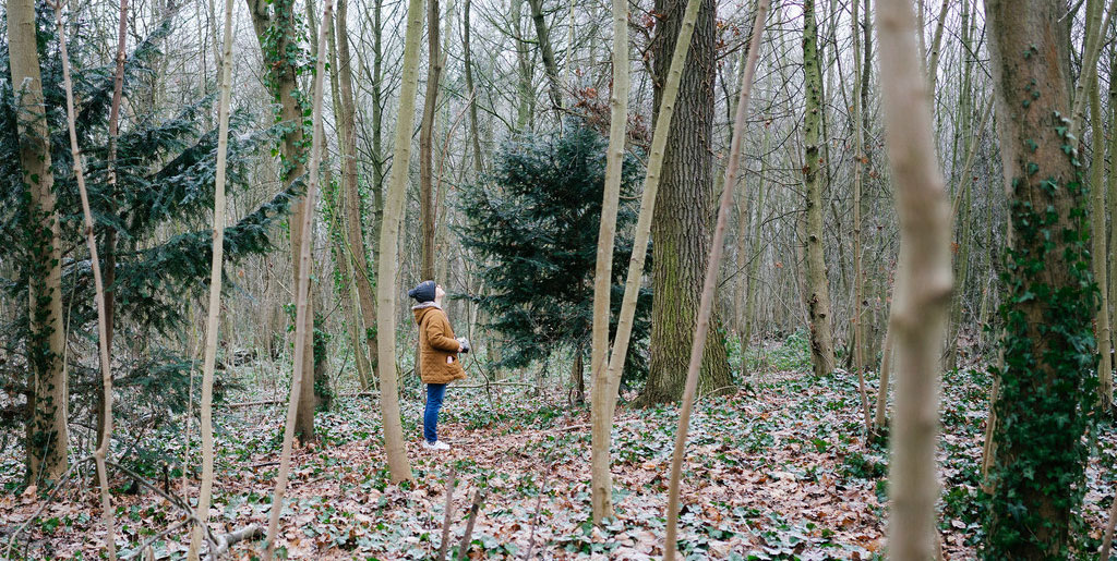 bois de vincennes en hiver