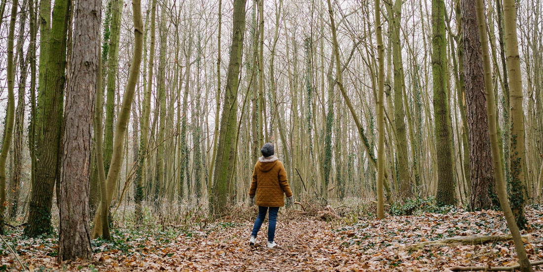 bois de vincennes